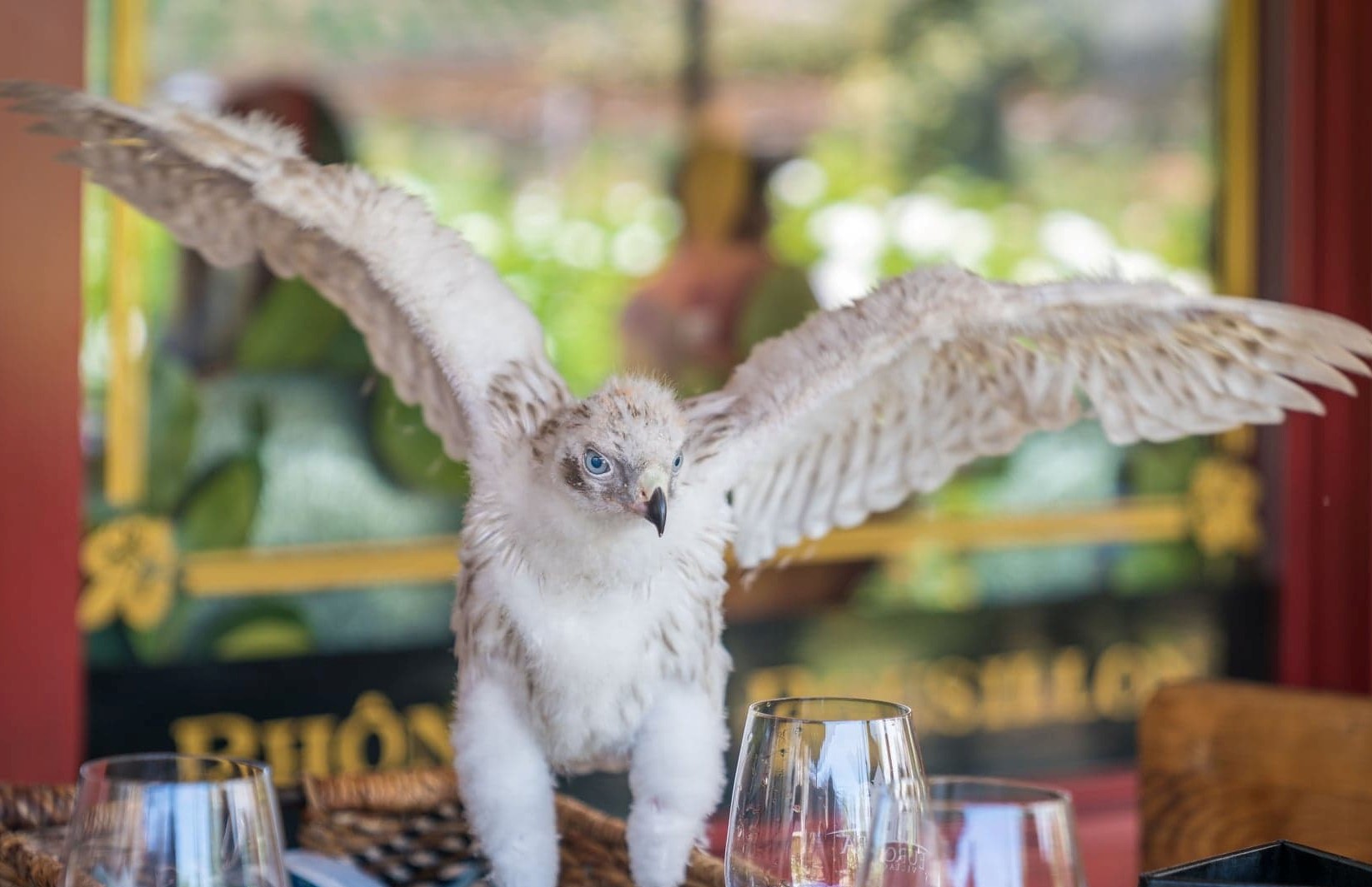 Compliments of Jimmy Fu https://jimmyfu.zenfolio.com/